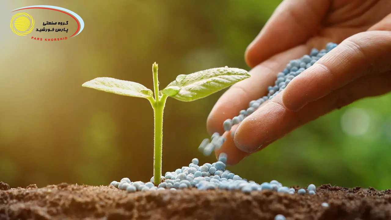 تاثیر پتاسیم هیدروکسید در کاشت گیاه