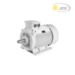 3-phase electric motor 1000 rpm